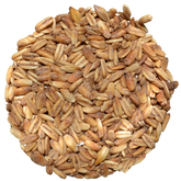 Oats | Golden Naked | Simpsons